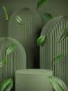 Abstract Background 3d Render Mockup Green Podium With Leaf Fall And Geometry Shape