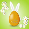 Abstract background with daisies Easter eggs and bunny ears Royalty Free Stock Photo