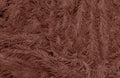 Abstract background of detail bright pattern texture shaggy fur with long fibers