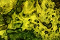 Abstract background of different shades of green, yellow and black spots.