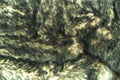 Abstract background, pattern of natural wool.