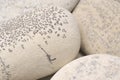 abstract background with dry round gray reeble stones gray close-up pebbles background spa relaxation concept Royalty Free Stock Photo