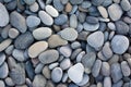 abstract background with dry round stones Royalty Free Stock Photo