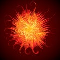 Abstract background. Explosion. Vector drawing Royalty Free Stock Photo