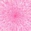 Abstract background, explosion vector. Pink hair texture. Pink fur. Royalty Free Stock Photo