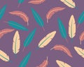 Abstract background feathers