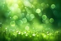 Blurry Green Bokeh Lights Background Royalty Free Stock Photo