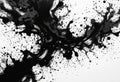 Scribbled Inferno Aerial Abstract Flamescape in Ink Splatter Style Black and White Royalty Free Stock Photo