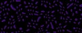 Abstract Purple Microorganism Pattern on Black Background Royalty Free Stock Photo
