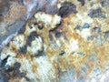 Abstract background of ferruginous mineral rock.