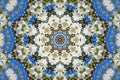 Abstract background of floral pattern of a kaleidoscope Royalty Free Stock Photo