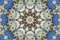 Abstract background of floral pattern of a kaleidoscope Royalty Free Stock Photo