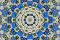 Abstract background of floral pattern of a kaleidoscope Royalty Free Stock Photo