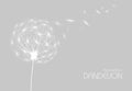 Abstract background with flower dandelion