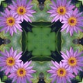 Abstract background of flower pattern of kaleidoscope. pink green background fractal mandala. kaleidoscopic arabesque Royalty Free Stock Photo