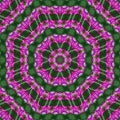 Abstract background of flower pattern of kaleidoscope. pink green background fractal mandala. kaleidoscopic arabesque Royalty Free Stock Photo