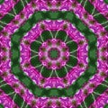 Abstract background of flower pattern of kaleidoscope. pink green background fractal mandala. kaleidoscopic arabesque Royalty Free Stock Photo