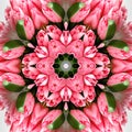 abstract background of flower pattern of kaleidoscope. pink green white mandala Royalty Free Stock Photo