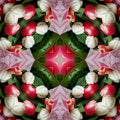 abstract background of flower pattern of kaleidoscope. pink green white mandala Royalty Free Stock Photo