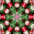 abstract background of flower pattern of kaleidoscope. pink green white mandala Royalty Free Stock Photo
