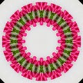 abstract background of flower pattern of kaleidoscope. pink green white mandala Royalty Free Stock Photo