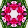 abstract background of flower pattern of kaleidoscope. pink green white mandala Royalty Free Stock Photo