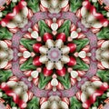 abstract background of flower pattern of a kaleidoscope. pink red green white background fractal mandala. square Royalty Free Stock Photo