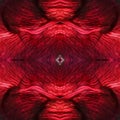 abstract background of flower pattern of kaleidoscope. red black background fractal mandala. kaleidoscopic arabesque Royalty Free Stock Photo