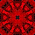 Abstract background of flower pattern of kaleidoscope. red background fractal mandala. abstract kaleidoscopic arabesque Royalty Free Stock Photo