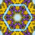 abstract background of flower pattern of a kaleidoscope. yellow purple green blue mandala Royalty Free Stock Photo