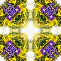 abstract background of flower pattern of a kaleidoscope. yellow purple green white mandala Royalty Free Stock Photo