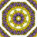 abstract background of flower pattern of a kaleidoscope. yellow purple green white mandala Royalty Free Stock Photo