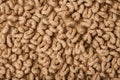 Abstract background of fluffy beige carpet.