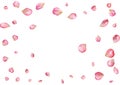 Abstract background with flying pink rose petals.