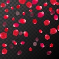 Abstract background with flying red rose petals on a black transparent background. Vector illustration. EPS 10 Royalty Free Stock Photo