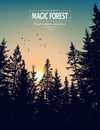 Abstract background. Forest wilderness landscape. Pine tree silhouettes. Vector illustration.