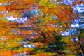 Abstract background formed by leaves of trees moved by the wind. Intentional blur