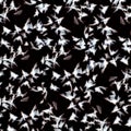 Abstract background. Frosty patterns on the glass. Black-white. Royalty Free Stock Photo
