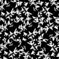 Abstract background. Frosty patterns on the glass. Black-white. Royalty Free Stock Photo