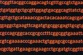 Abstract background, genome sequencing