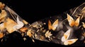 abstract background golden butterflies on a black background. copyspace