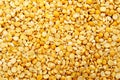 abstract background with grains of split dried yellow peas Royalty Free Stock Photo
