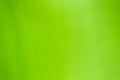 Abstract background green colour