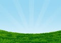 Grassy Field on blue sky background-Vector Illustration