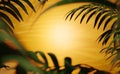 Abstract background, green leaves of tropical palm tree on orange background. shallow depth of field effect. 3d render, digitally