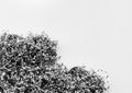 Abstract background of a heap of metal shavings and scraps