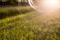 Abstract background with highlights and bokeh from splashing water and sun light. Park on a warm summer sunny evening Royalty Free Stock Photo