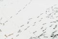 Human footprints in the snow Royalty Free Stock Photo