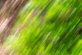 Abstract background image of green leaves and flowers with motion blur effect