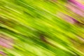 Abstract background image of green leaves and flowers with a motion blur effect Royalty Free Stock Photo